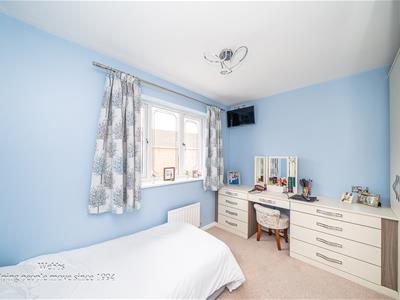 Picture 25